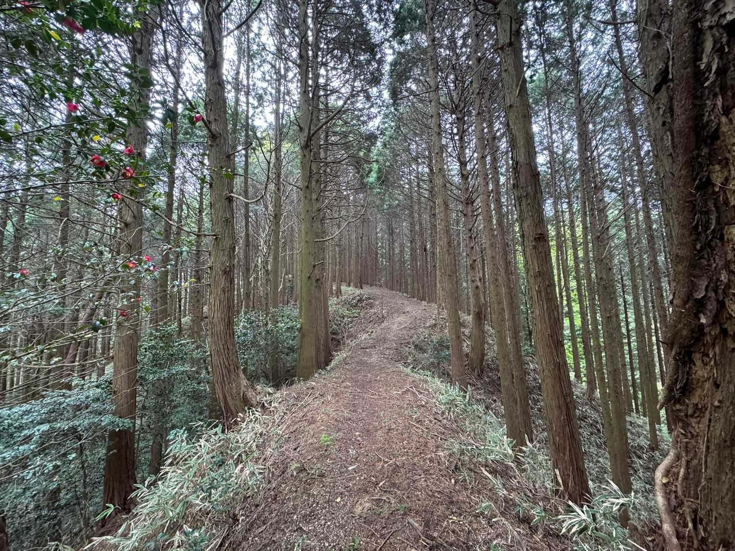 涼しくて快適。