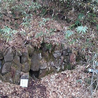 じんじゃぼーず