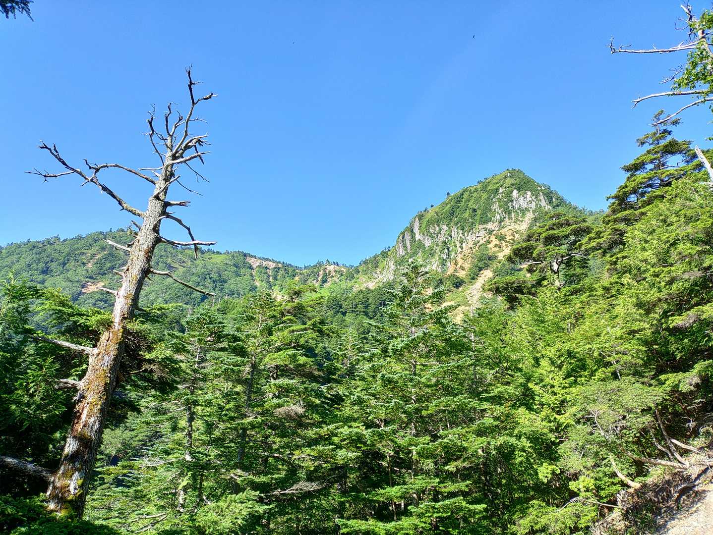 金精峠登山口-金精峠-金精山-五色山-前白根山 往復コースの写真