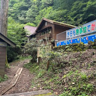 ここから山頂までアブが飛び回っていたので注意
立ち止まると寄ってくる。