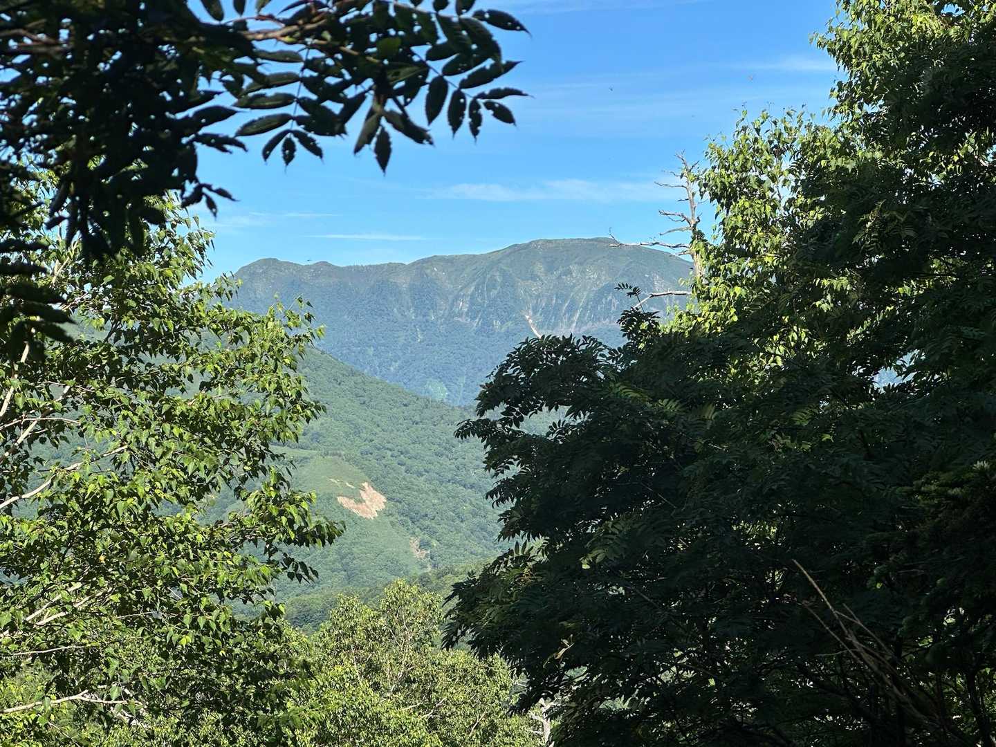 岩菅山　　裏岩菅山