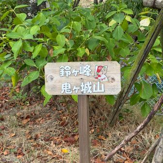 ここから