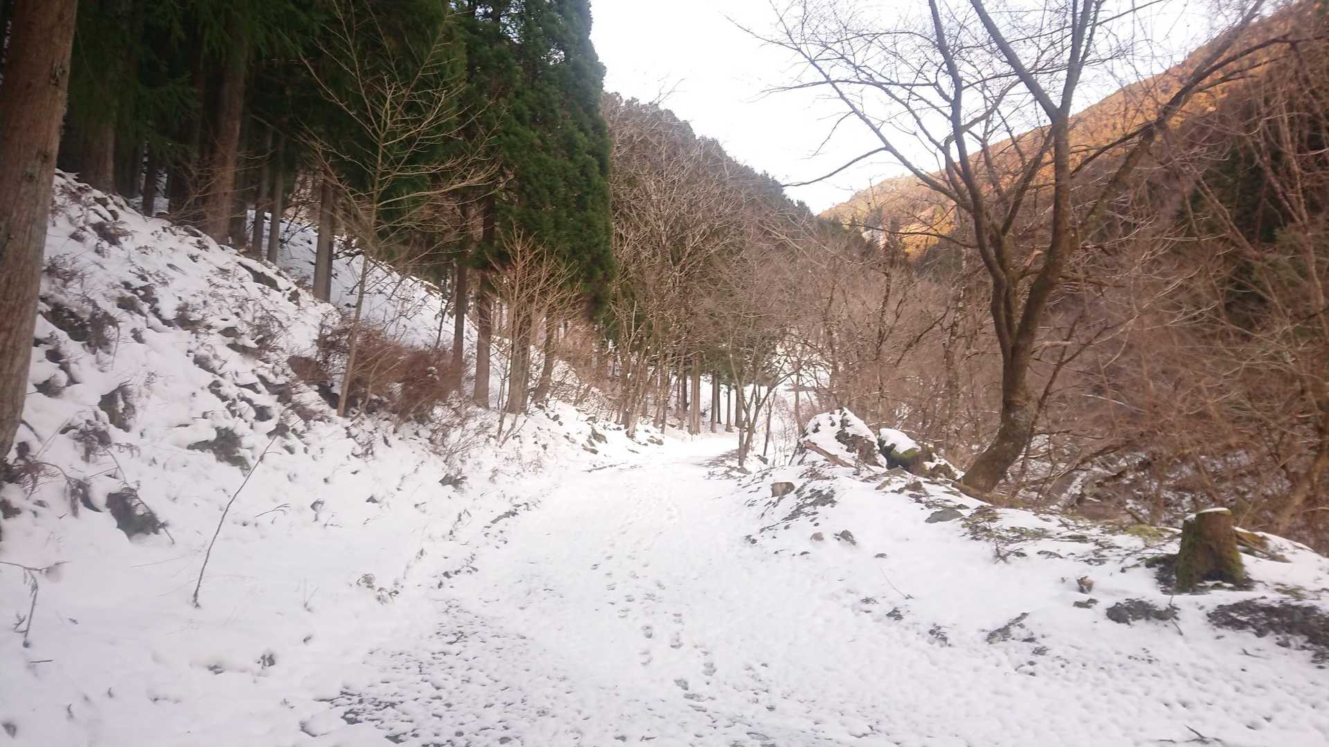 しばらく林道歩き
雪も現れ一安心