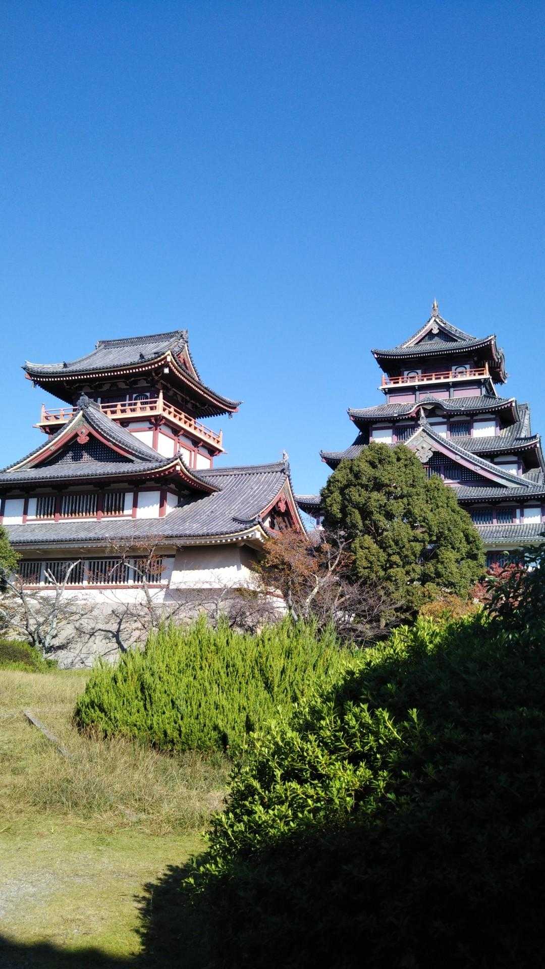 伏見桃山城　近くで写真も撮れました