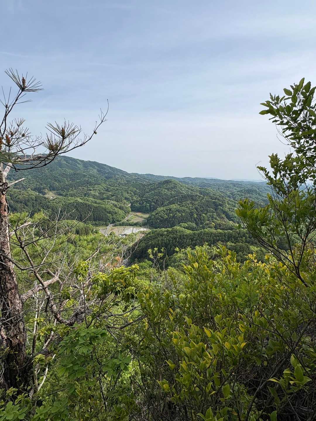 山頂到着
