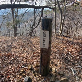 画像は、群馬県桐生市にある仁田山城跡の本丸を示す標識を写しています。この城は、南北朝時代に山田氏によって築かれた山城です。 
仁田山城跡について
所在地: 群馬県桐生市川内町。
歴史: 南北朝時代の観応2年（1351年）に、山田筑後守則之が桐生城主桐生国綱に攻め滅ぼされた地と伝えられています。
遺構: 主郭（本丸）は南北に細長く、その北側に堀切（ほりきり、敵の侵入を防ぐための空堀）、二の郭、三の郭などが尾根沿いに配置されています。深さ4メートルほどのしっかりとした堀切が主要な見どころの一つです。