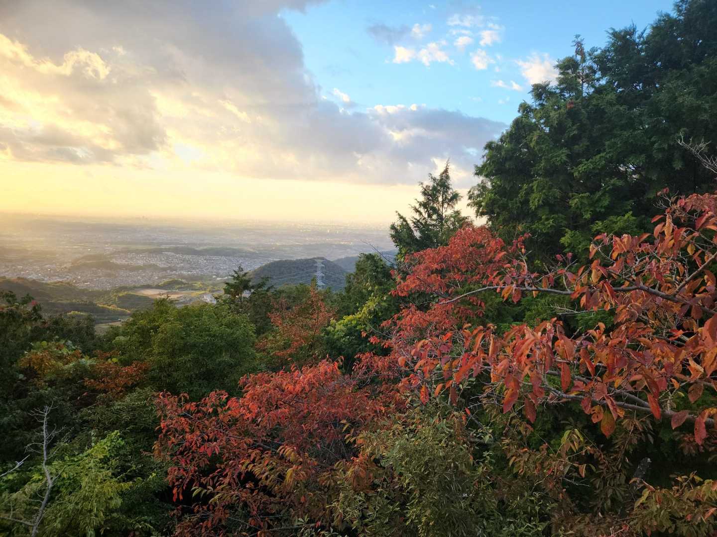 二上山登山口-二上山-第二十六経塚「二上山 陀羅尼品」 往復コースの写真