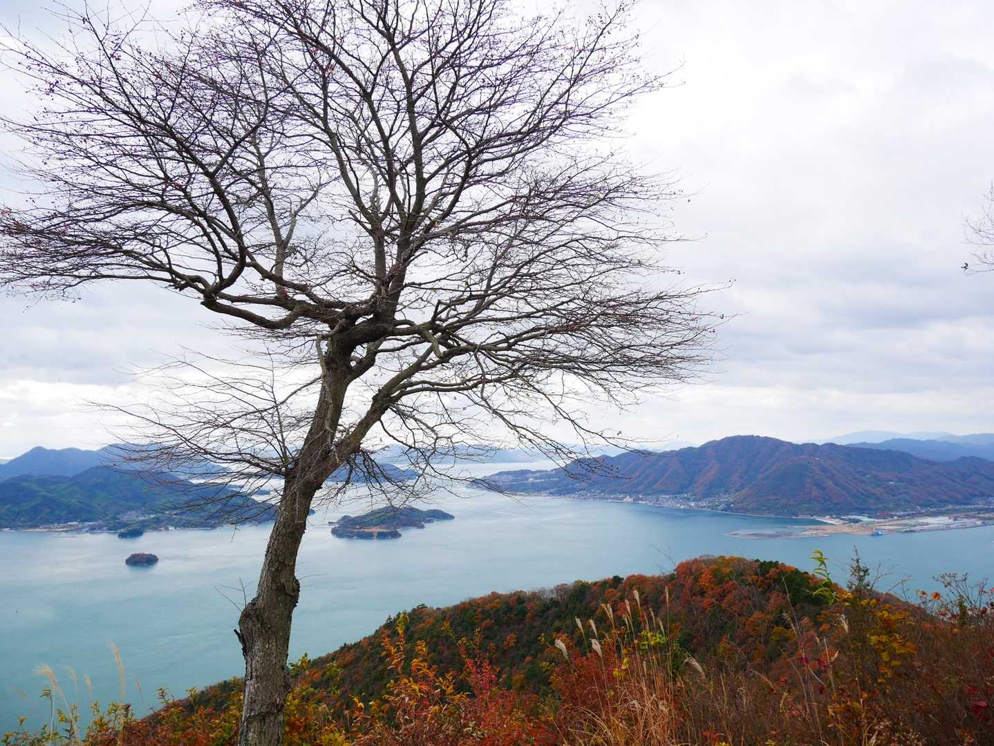 鉛色の冬の空。
でもいいですね♪