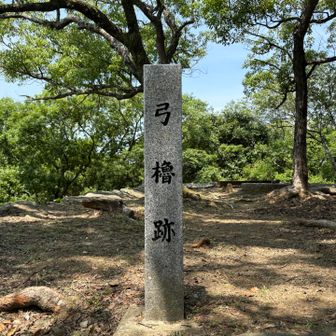 YAMAPではこの辺りが山頂となっていました