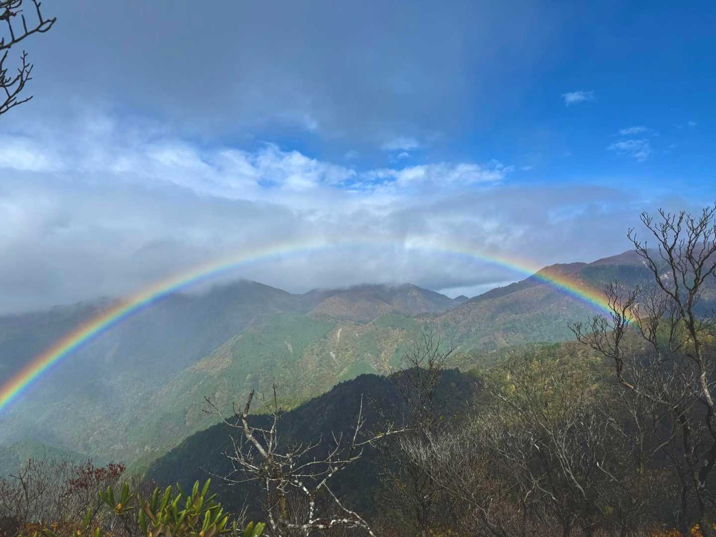 絵に描いたような虹🌈そのニ