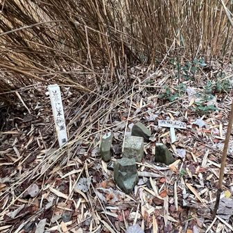 流岡山山頂はこんなだよ。
箱根のバリやってる気分。
木津川によって「ながれたやま」に流岡山の字をあてられたという。

妙見山とか行きたかったけど、レポ見たらクマが出たらしい。
京都に熊いるの〜？
疲れたし帰ろう。
快活でゆっくり寝たい。
いつも寝ることしか考えられない。
快活奈良店は、いつも混み混みでうるさくて眠れない。
快活奈良店もうやだ…⤵️