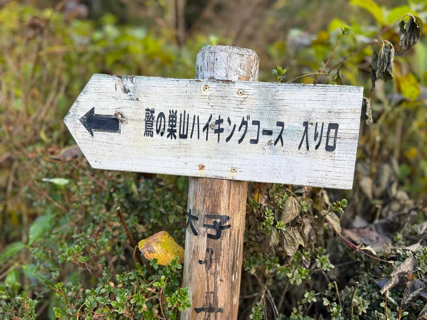 登山口
