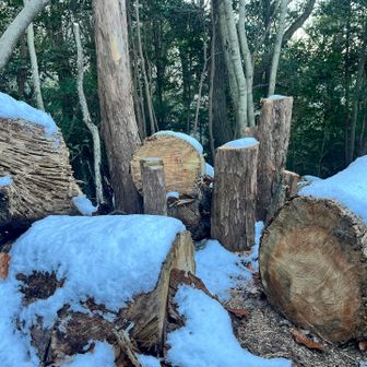 見た中で1番雪が溜まっていたところ