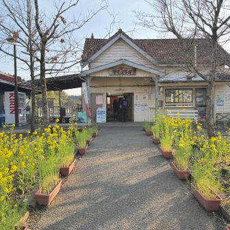 　ゴールの養老渓谷駅（市原市）に到着すると、日が傾き始め、柔らかな光に包まれた菜の花の花壇が目に入った。
　トイレに立ち寄って着替えているうちに、16時22分の発車時刻が迫り、慌てて車内に乗り込んだ。