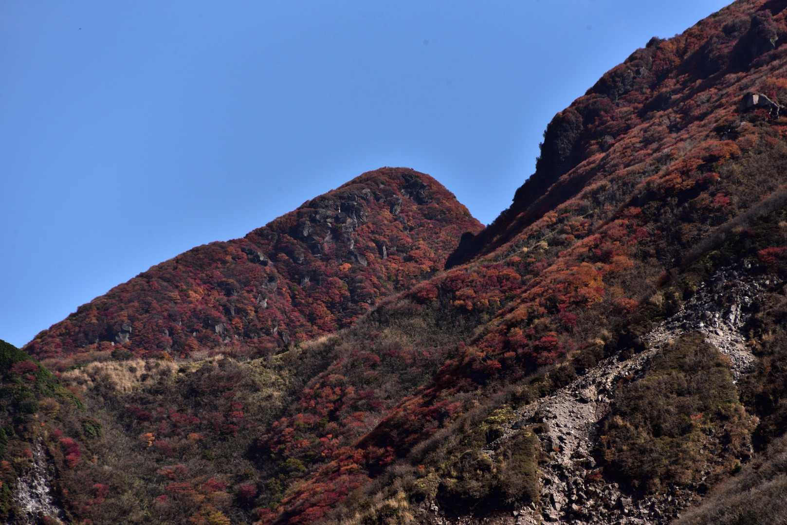 三俣山北峰
遠くからでもわかる！
綺麗に紅葉してる🍁
