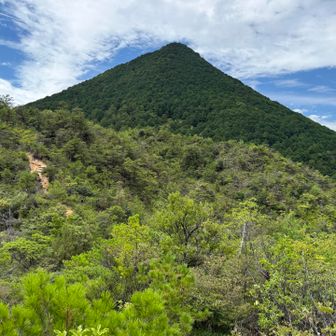 晴れてきた🌞　端整なお山です