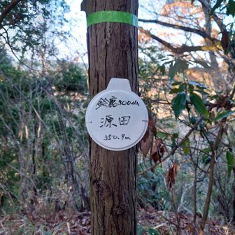 源田とうちゃこ♪