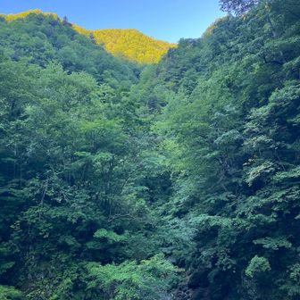 山も輝く✨予報どおりのピーカン☀️💙