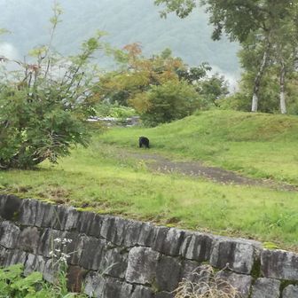 山さんの明日も
