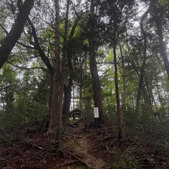 以前気になって調べたのですが、秋庭山、秋葉山は全国にたくさんありますが、この秋庭権現は火防鎮火の神が祀られているそう。