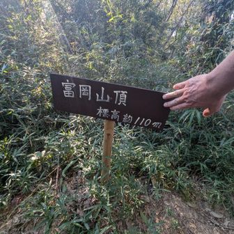 富岡山