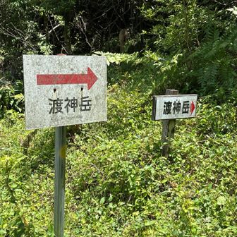 入り口