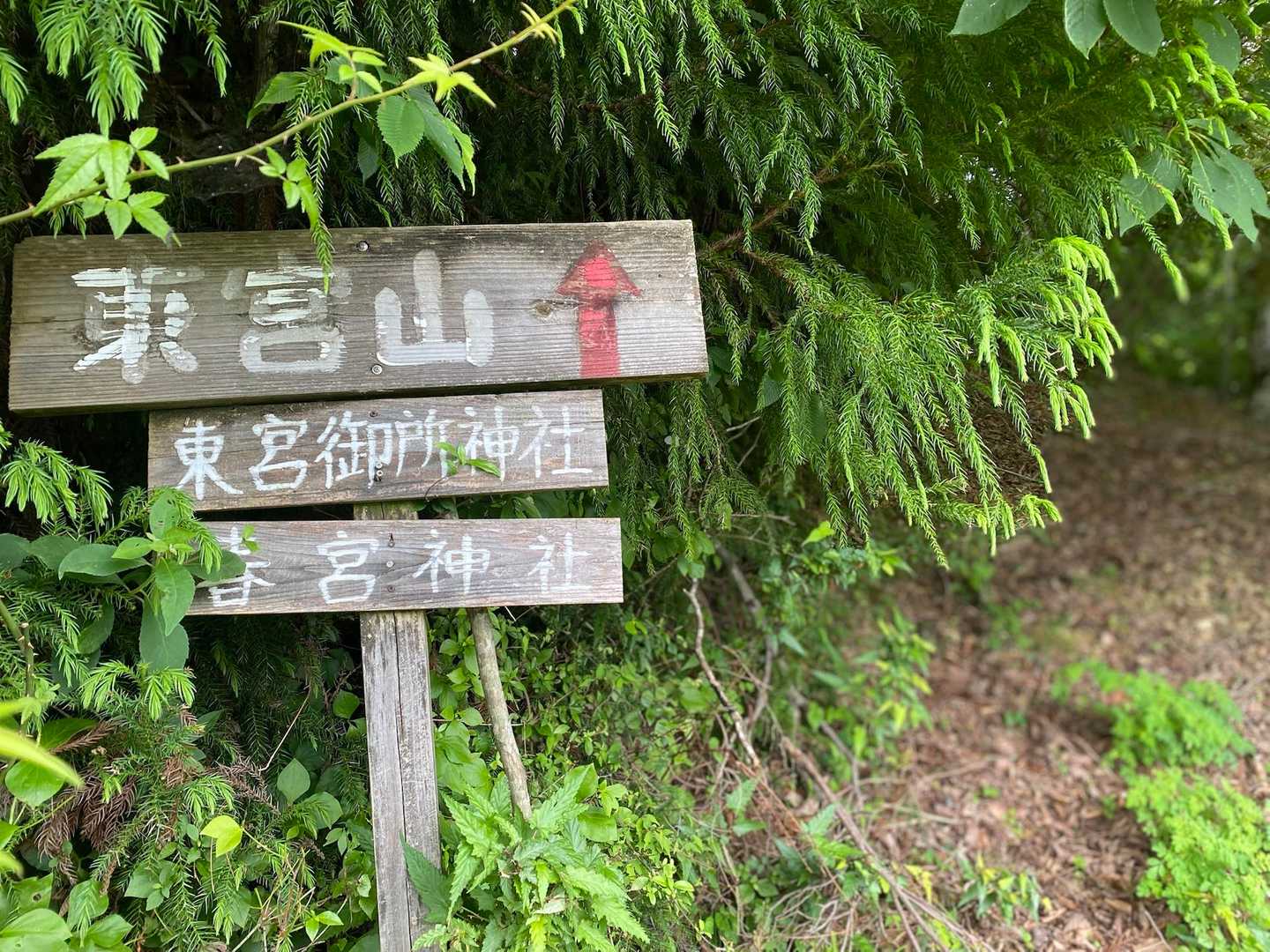 ここにおりてきたら