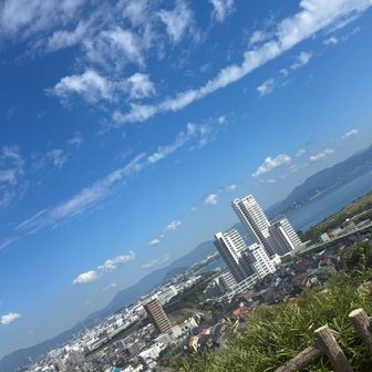 何ということでしょう⁉️
ナイスブルー🛜