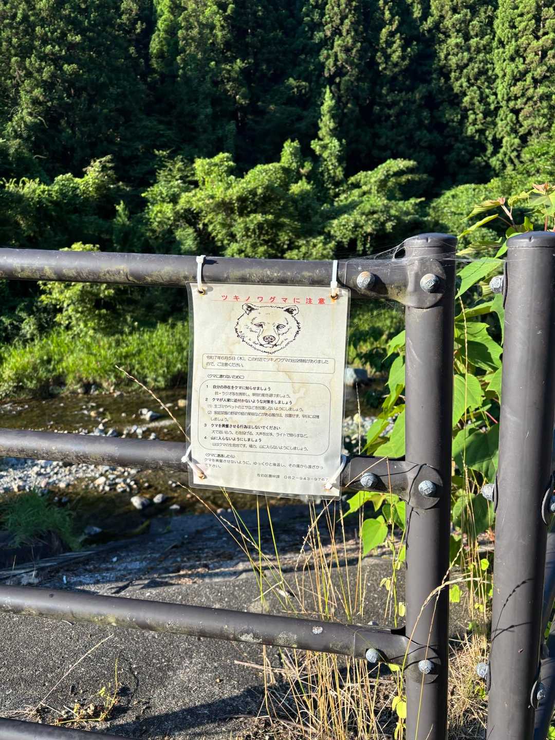 早速目撃情報ℹ️見たもので、この後必要以上に声を上げながら気合入れました👊