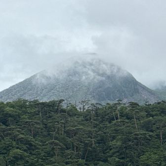 あの北峯 直登 登りたいですね

毎回 同じコースも 面白くないでしょう