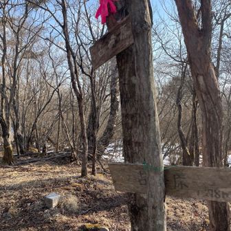 山名板です。

古峰ヶ原の山頂独り占め😆