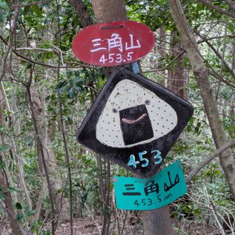 途中　登山道を境界にして全伐領域が多々見られます。殺伐としてますが樹林帯がない山の形が露わで興味深いです。
