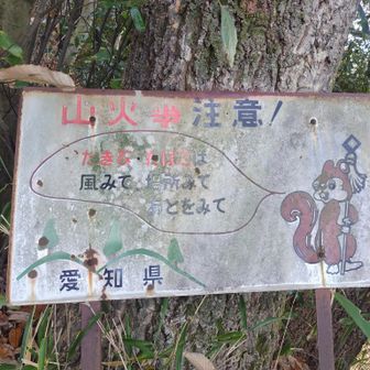 火消しリスさん、いつもありがとうございます🐿️