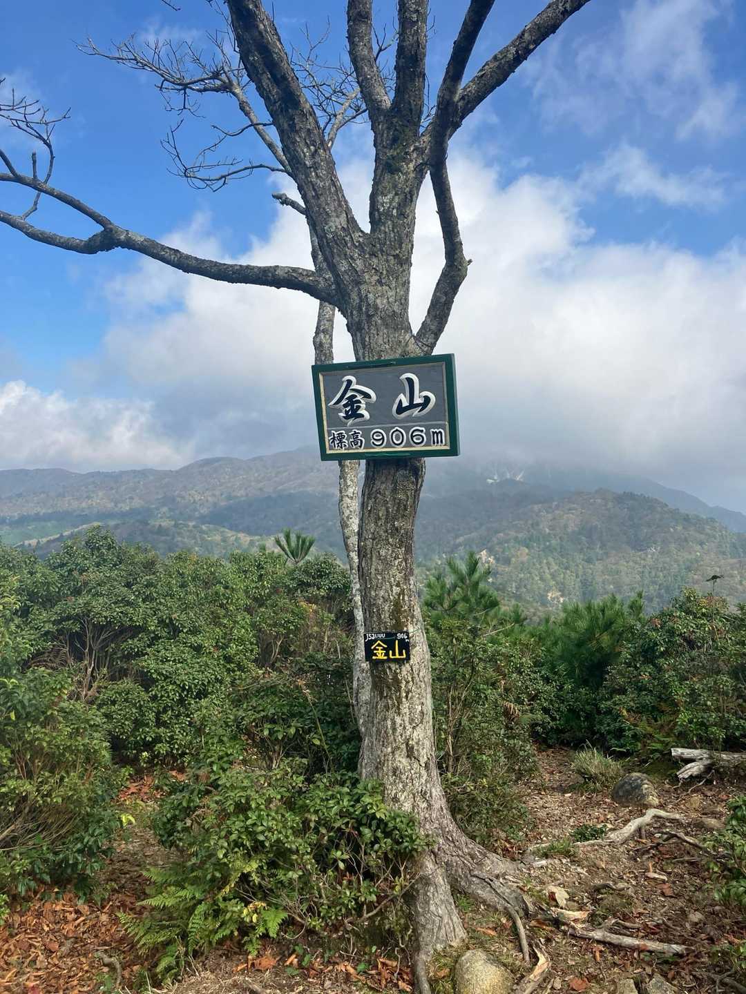 朝明登山口-中峠-金山-羽鳥峰 往復コースの写真
