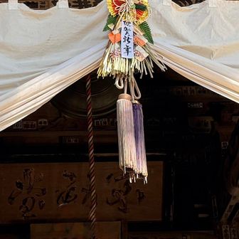 ココもお正月の準備万端🎍