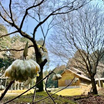 山頂デッキ下でもぐもぐタイム後、昼寝😴💤
うとうとし過ぎてベンチから落ちそうに😆😅


さて、帰ろ〜っと🐾

嘉嶺の頭へ下るコースです。