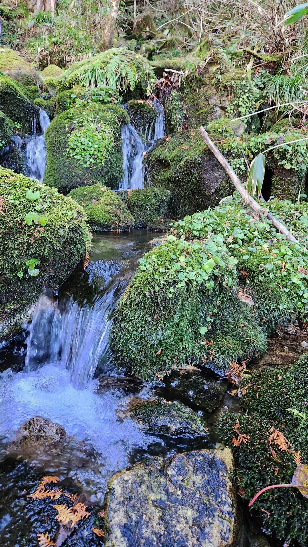 小さな滝に目が行きます。