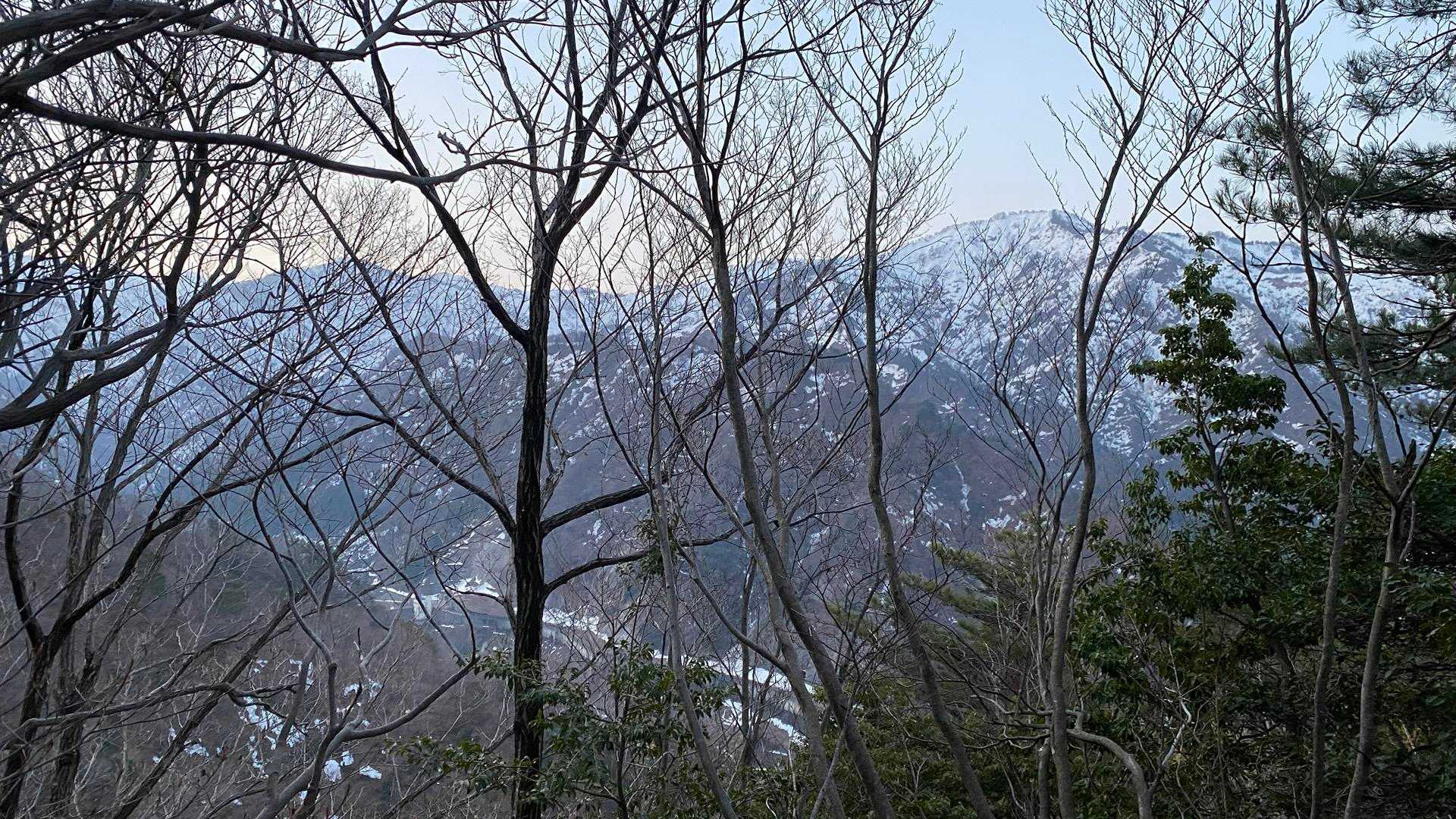 一気に標高上げます⤴️
