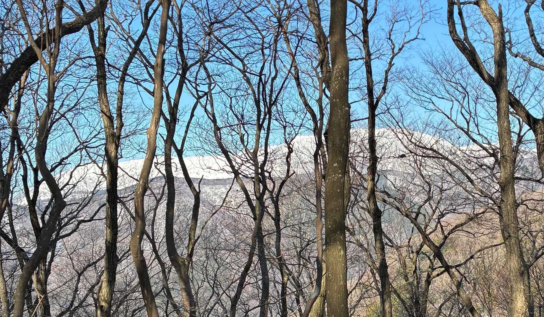 霊仙山
