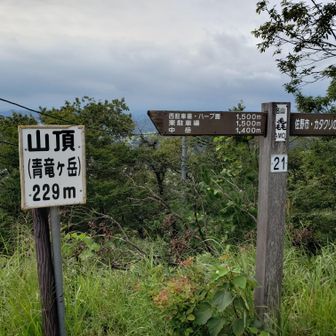 三毳山（青竜ヶ岳）山頂到着