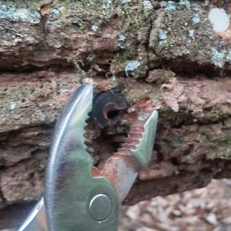 その後、倒木除去しながら先へ進み、以前に刺さったままの折れたビットを回収。