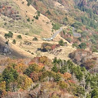 登山口の落合峠が見えてきた！
今日は貸し切り状態で、寒峰方面には誰もおらず
下山口で反対方向の矢筈山から降りてくる方一人にお会いしただけでした