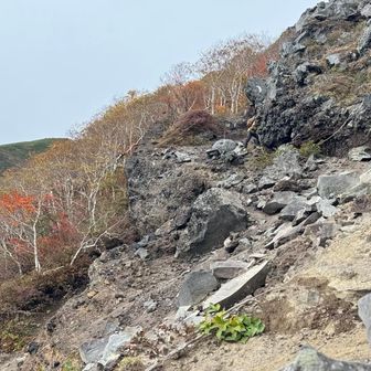ぺーを探せ笑笑