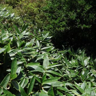 友人も足元が見えないのは怖いと言ってました
牧草地なので足元に有刺鉄線があったりと、注意深く歩きました