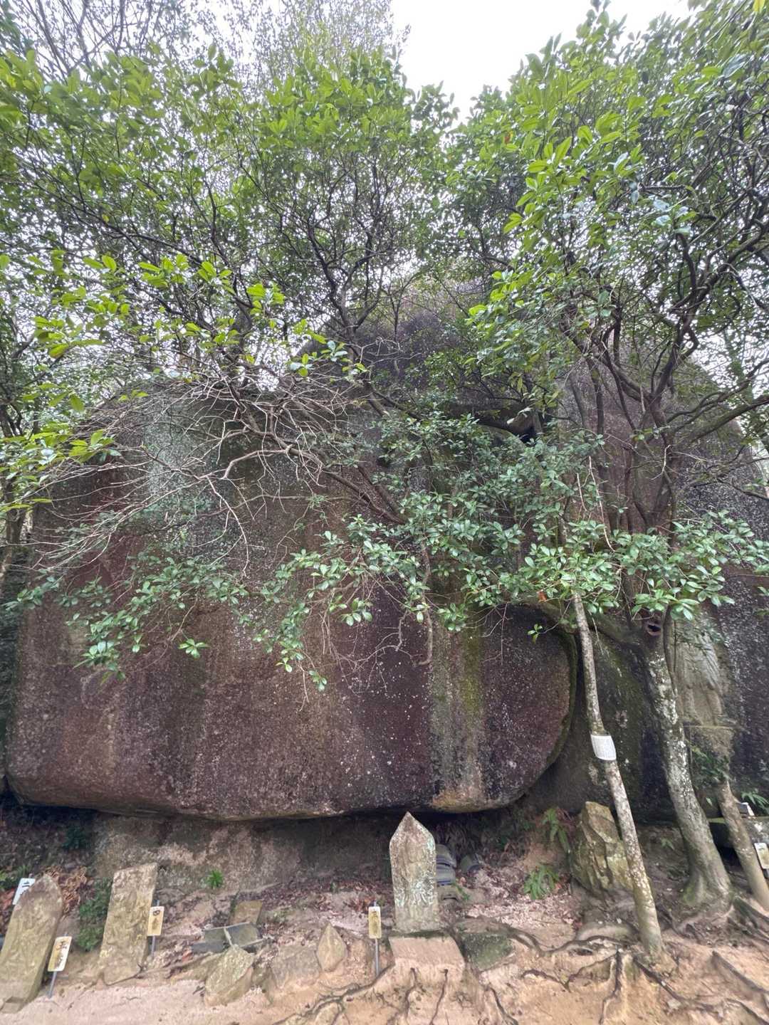 福山登山道ふれあい広場口 往復コースの写真