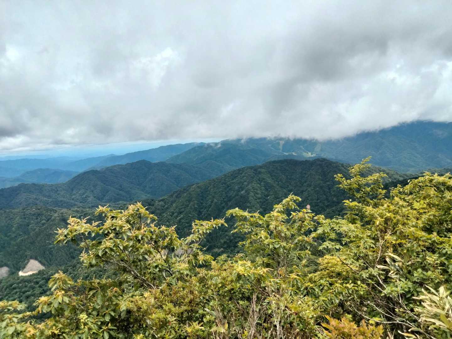 金糞岳 往復コースの写真