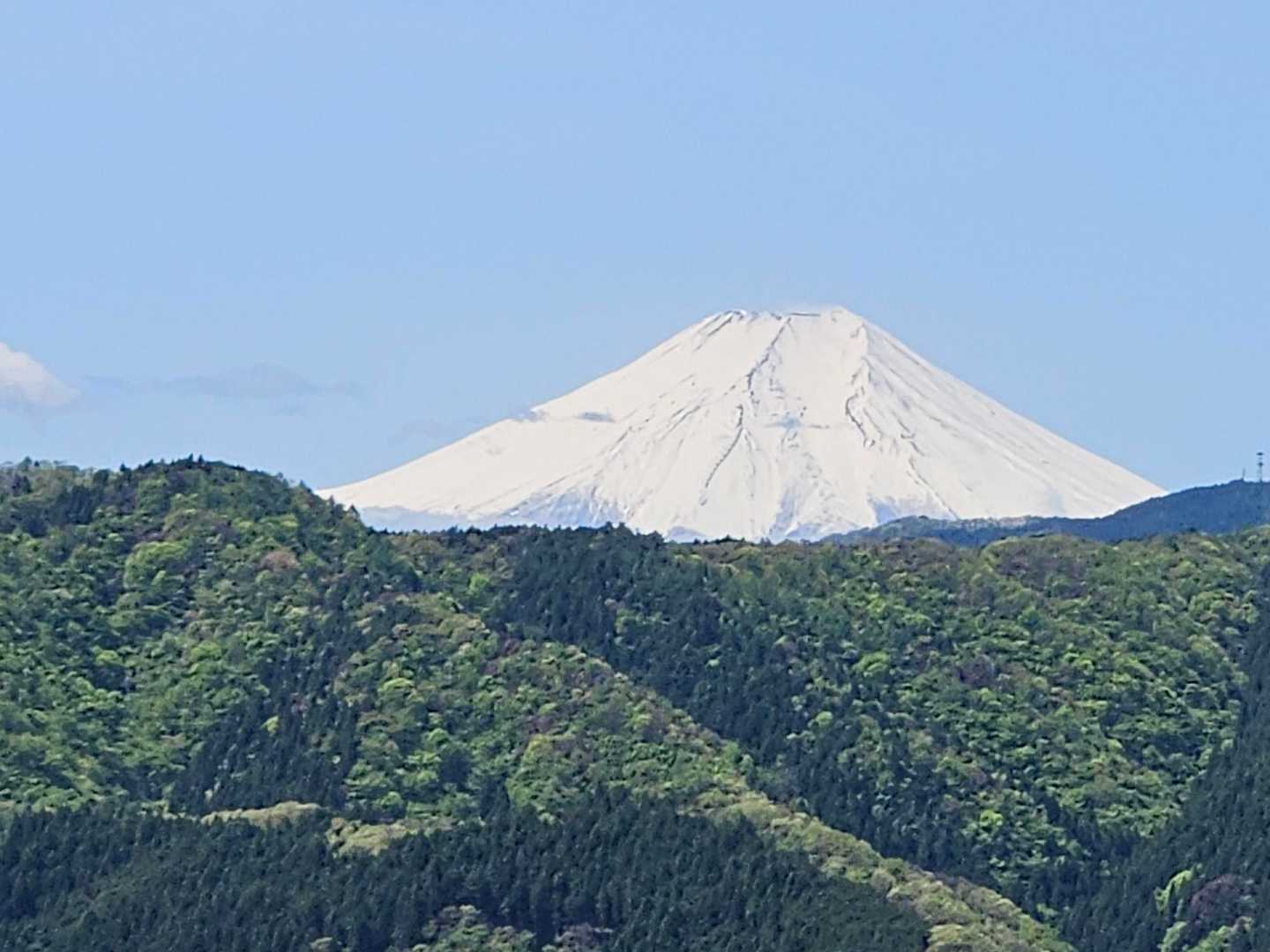 仲の平バス停-御林山-数馬峠-内台山-人里峠-浅間嶺-天領 縦走コースの写真