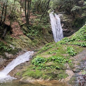 魚止めの滝