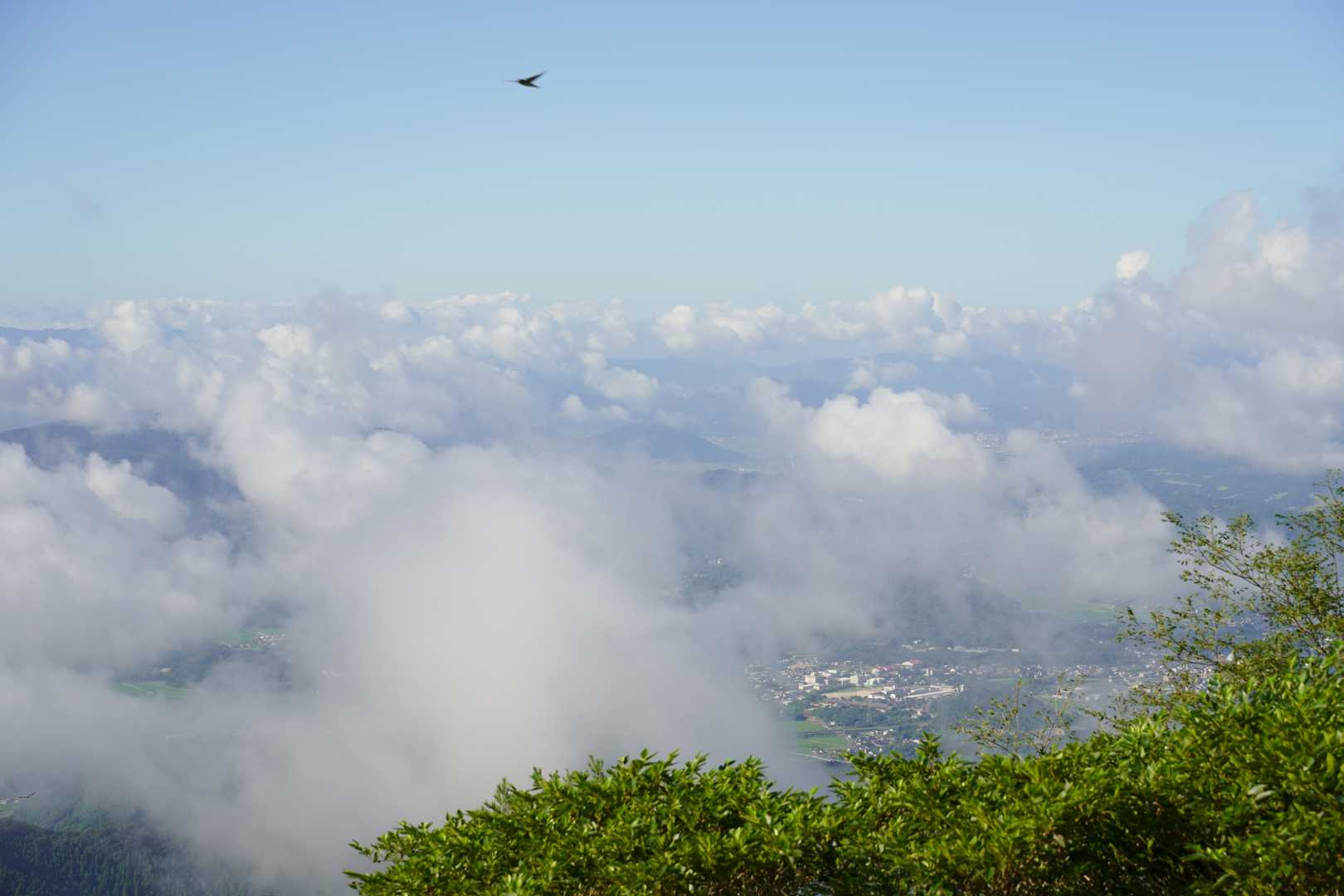 今日は雲海が低い⛅