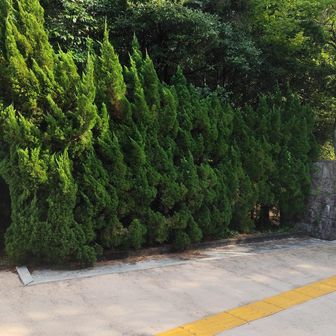 金毘羅山登り口駐車場(多賀の碑)からアスファルトの道路を南に降りて各務原公園に着きました。自販機と駐車場がありました。公園の中にも自販機ありトイレあり。